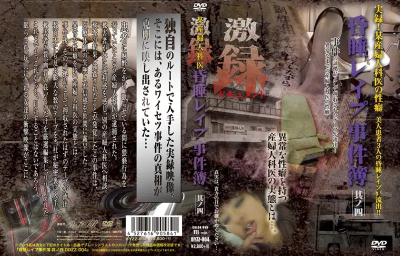 DDZZ-004 JAV Movie Cover