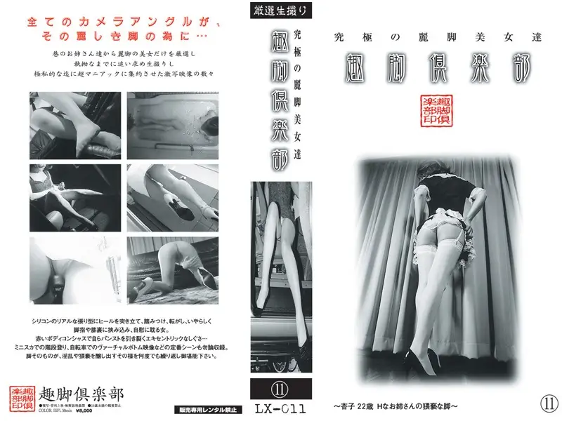 LX-011 JAV Movie Cover