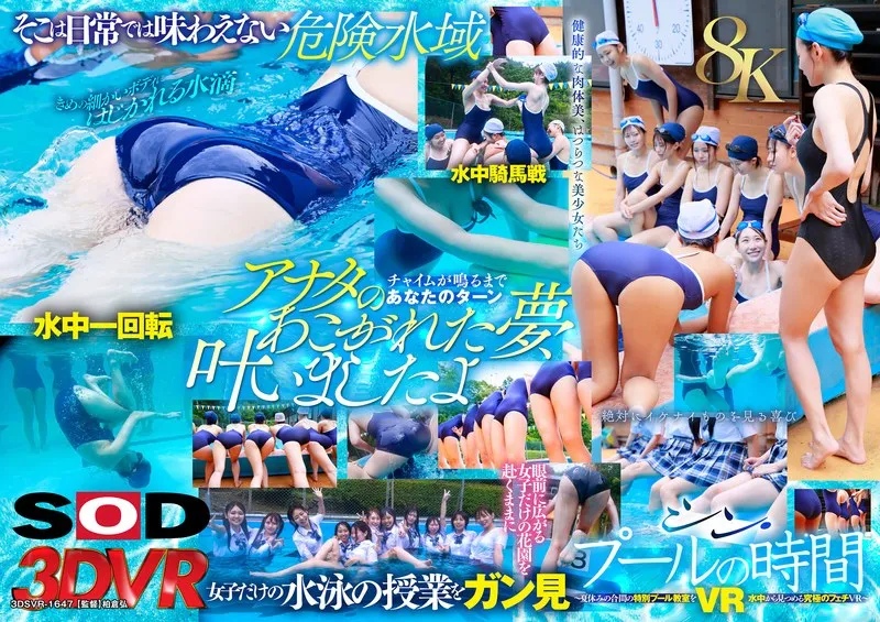 DSVR-01647 JAV Movie Cover
