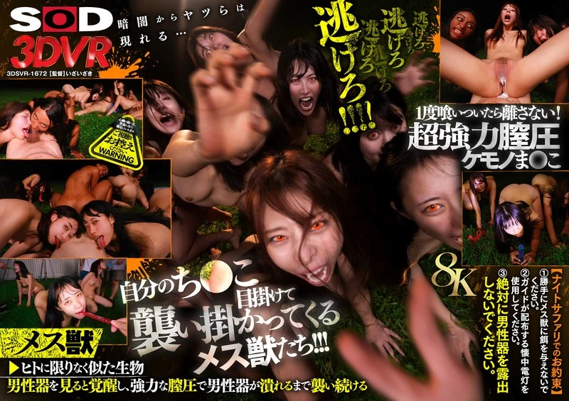 DSVR-01672 JAV Movie Cover