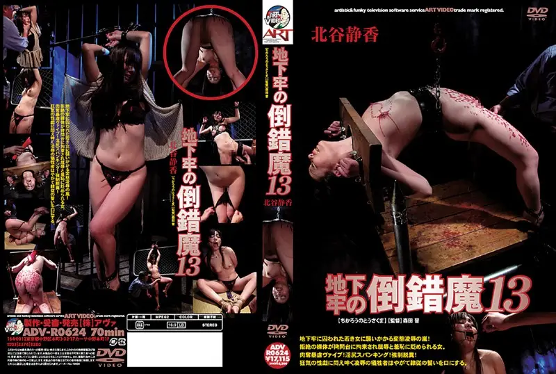 ADV-R0624 JAV Movie Cover