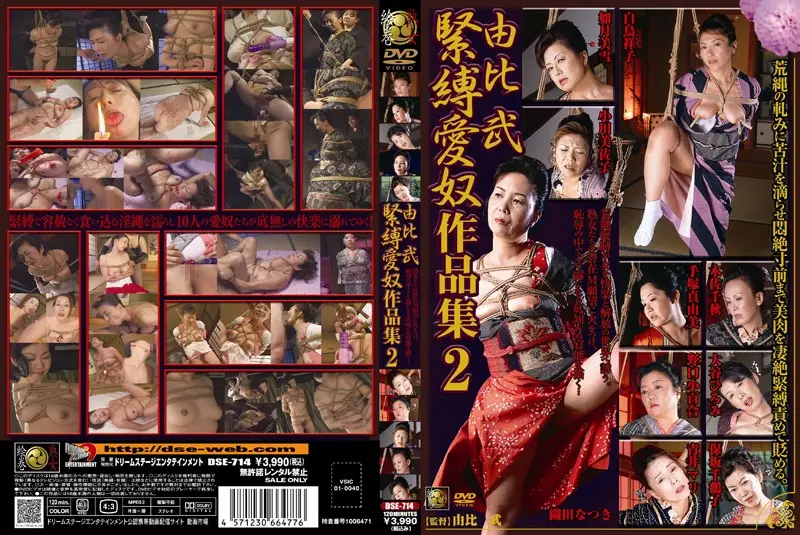 DSE-714 JAV Movie Cover