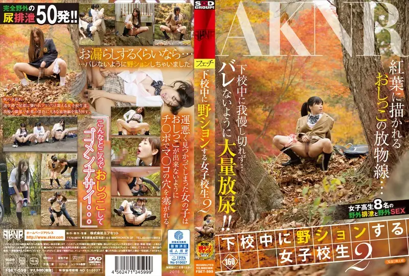 FSET-599 JAV Movie Cover