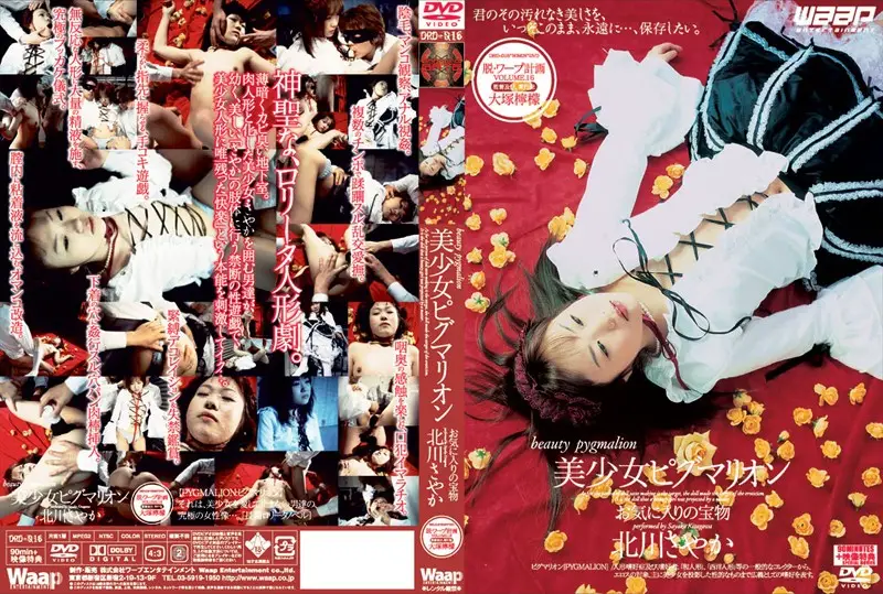 DRD-016 JAV Movie Cover