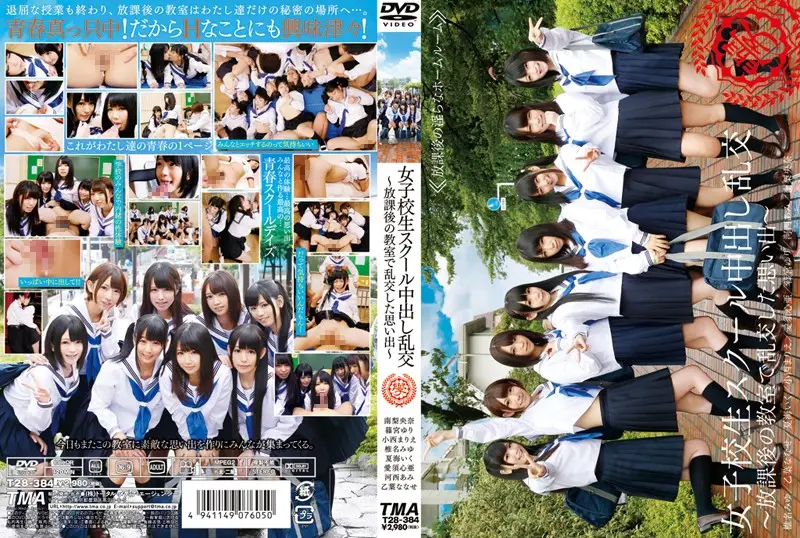 T28-384 JAV Movie Cover