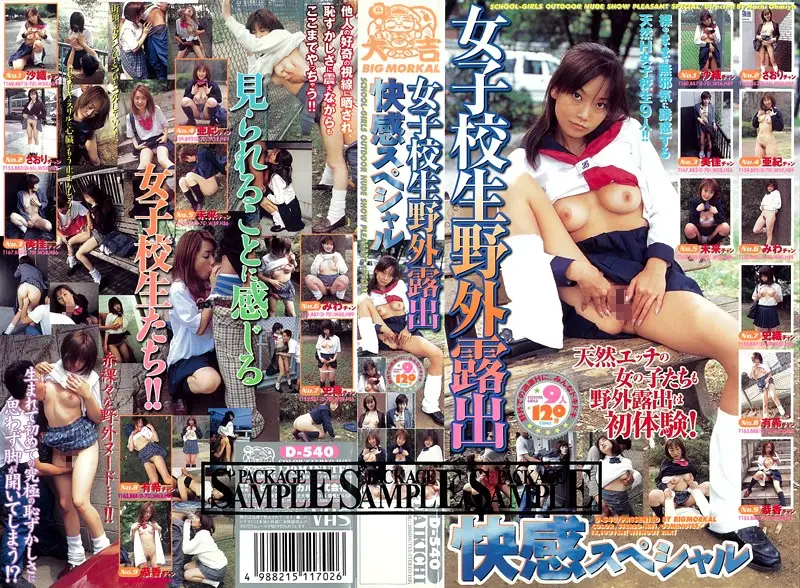 D-540 JAV Movie Cover