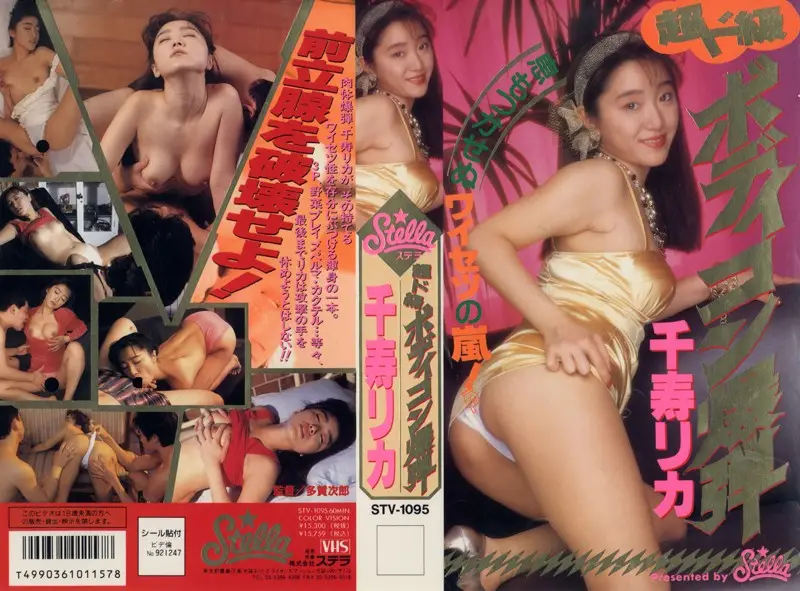 STV-1095 JAV Movie Cover