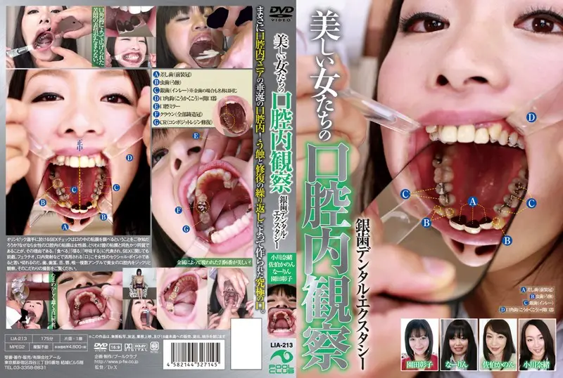 LIA-213 JAV Movie Cover