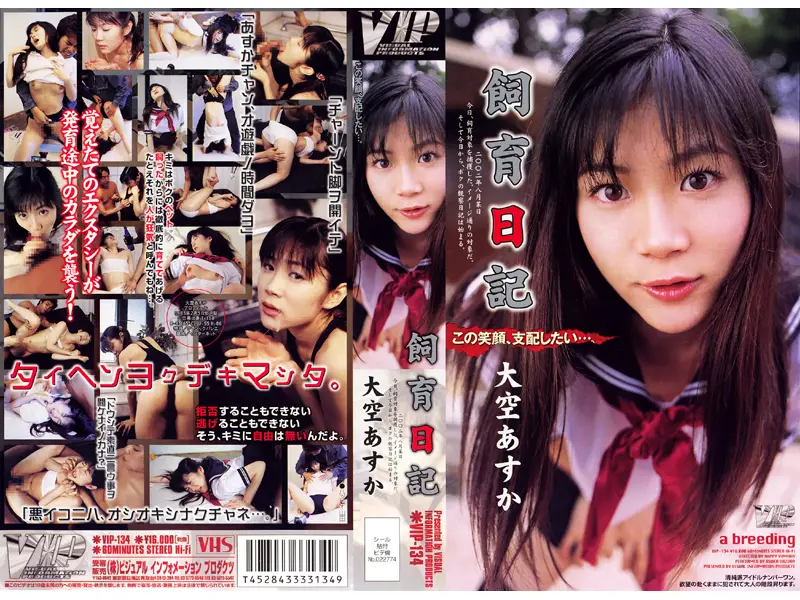 VIP-134 JAV Movie Cover