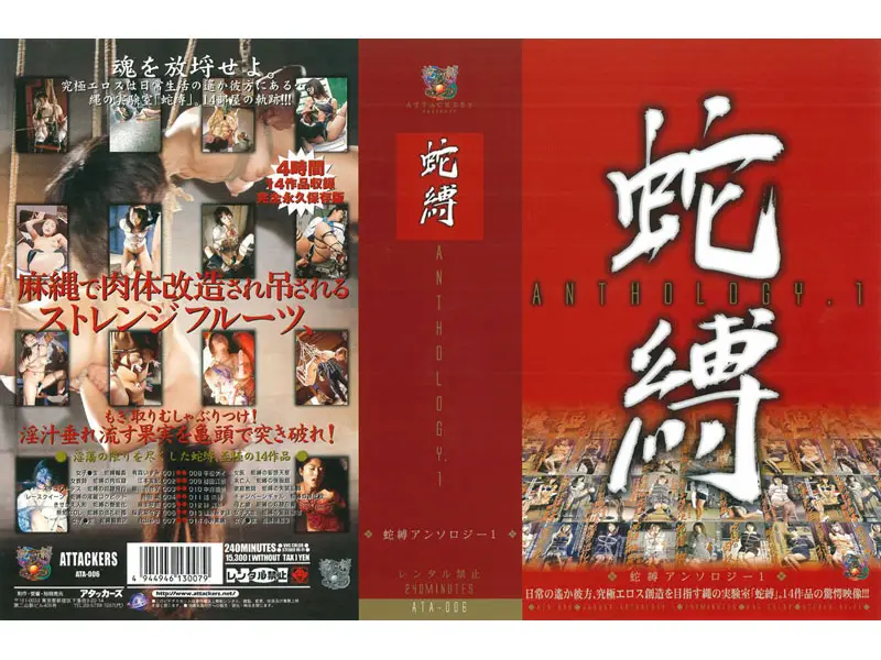 JAV Movie Cover