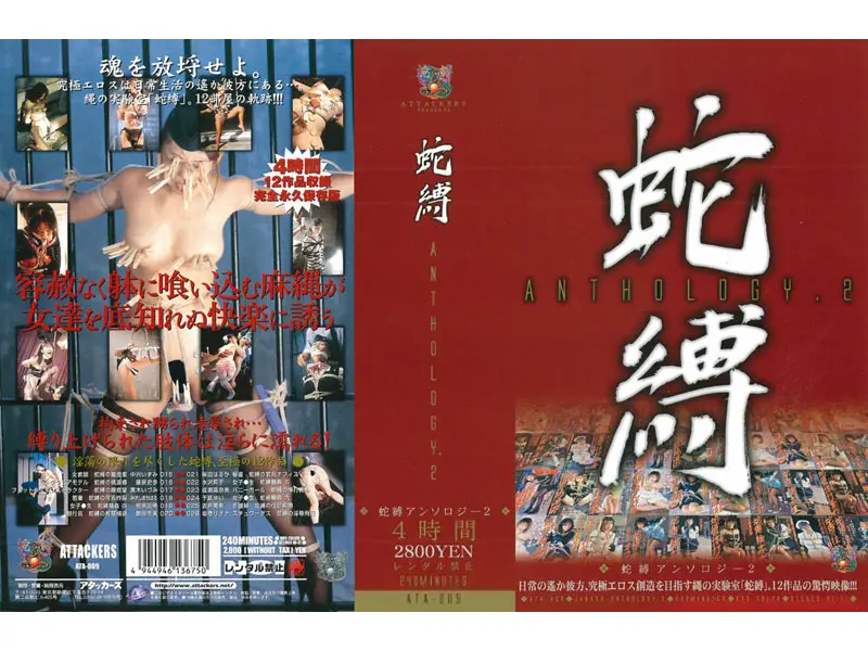 JAV Movie Cover