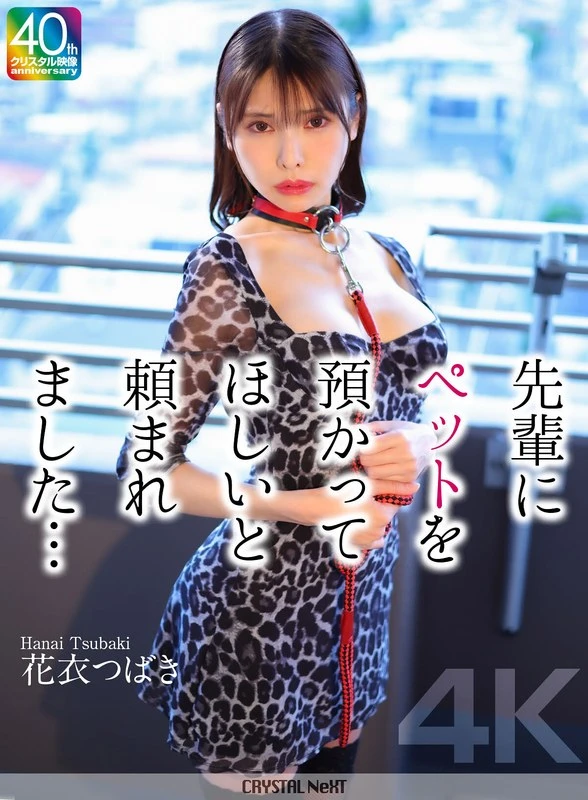 CRNX-254 JAV Movie Cover