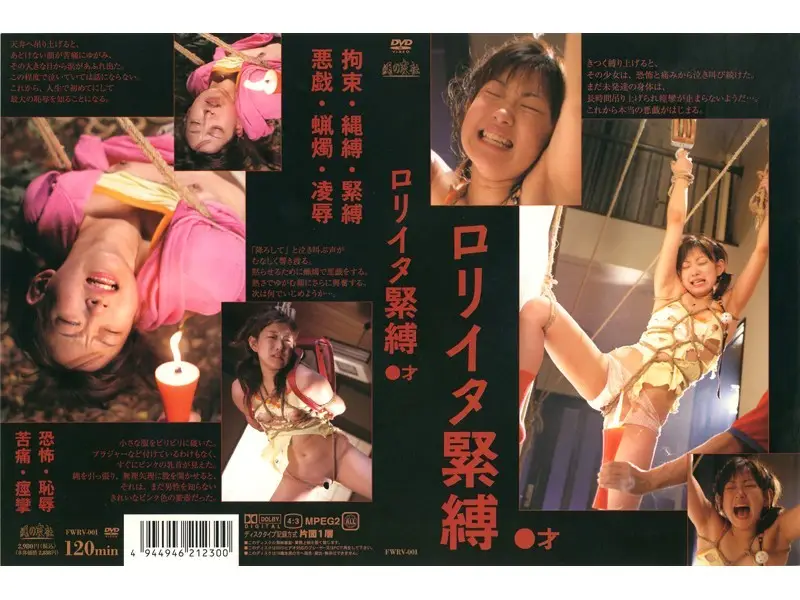 JAV Movie Cover