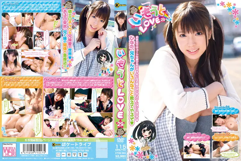 KTDS-384 JAV Movie Cover