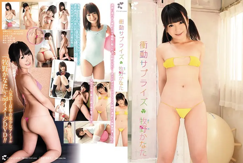 DFSMBR-AB005 JAV Movie Cover