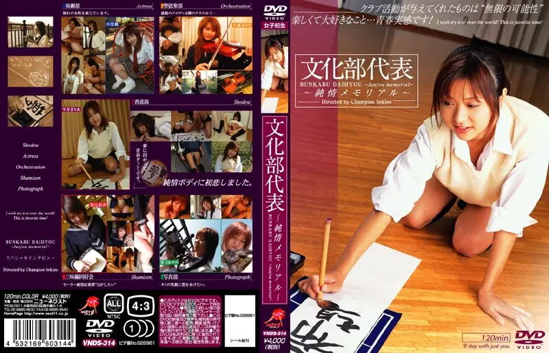 VNDS-314 JAV Movie Cover