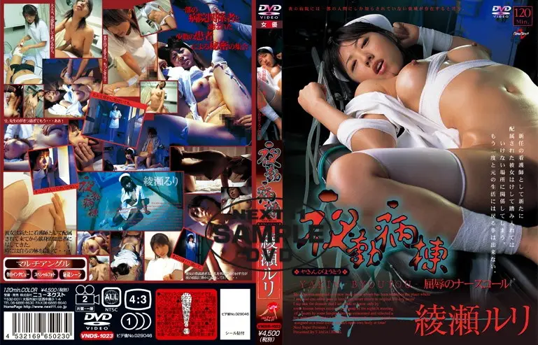VNDS-1023 JAV Movie Cover