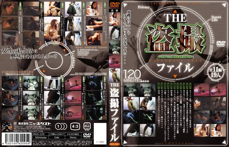 VNDS-2295 JAV Movie Cover