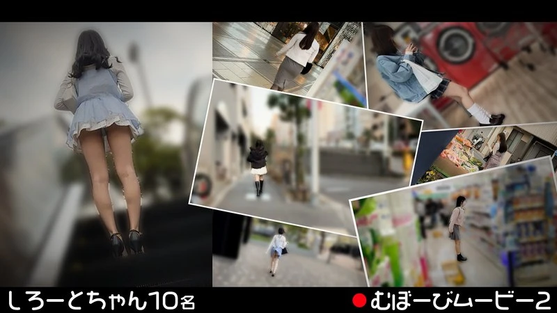 FCH-113 JAV Movie Cover