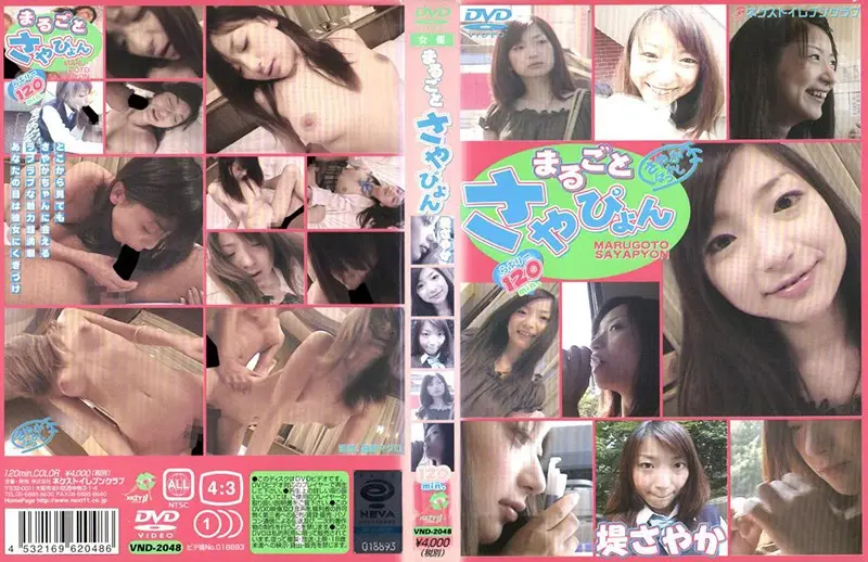 VNDS-2048 JAV Movie Cover