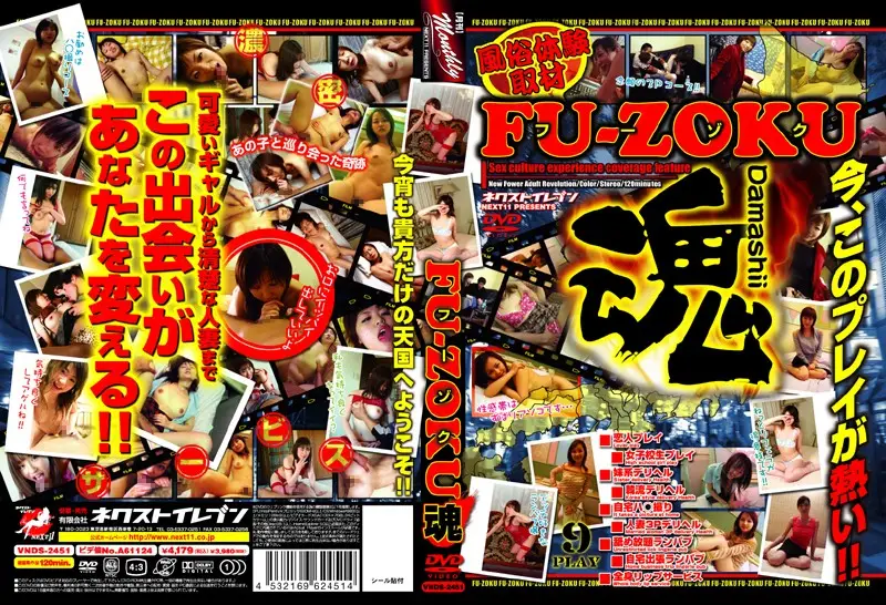 VNDS-2451 JAV Movie Cover