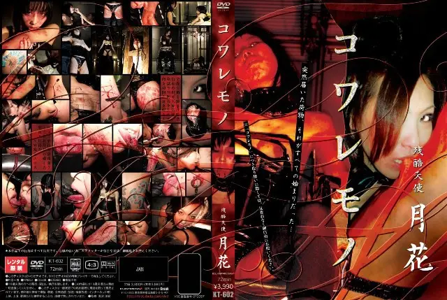 KT-602 JAV Movie Cover