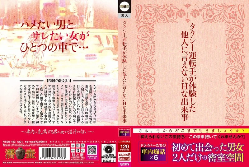 NTSU-183 JAV Movie Cover