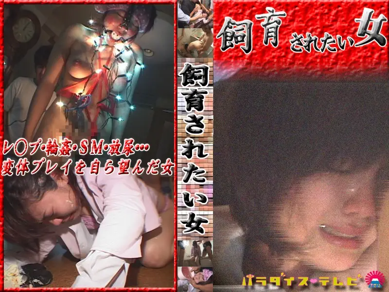 parat00171 JAV Movie Cover