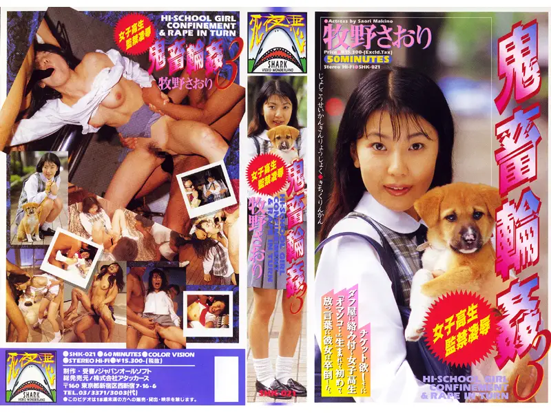 JAV Movie Cover