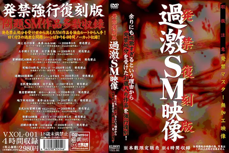 VXOL-001 JAV Movie Cover