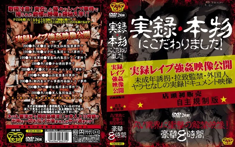 VZGX-001 JAV Movie Cover