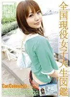 EVO-004 JAV Movie