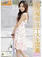 EVO-047 - Can College vol. 23