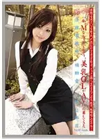 EVO-069 - Working Woman vol. 32