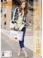 EVO-076 - Can College vol. 38