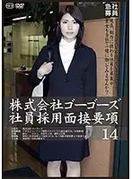 C-2205 - The Crucial Points Of An Interview To Work At Gogo's Inc. 14