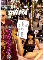 ICHD-04 JAV Movie