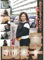 HDD-02 - Apartment Wife Takako