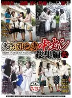 DSE-529 JAV Movie