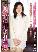 DSE-1153 JAV Movie