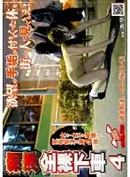 NHDT-795 - All Naked, M****ters Get of Train 4