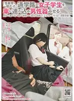 NHDTA-041 - It Was Part Of Sex Education Getting Female S*****ts On The Way To School Into A Car And Showing Them Male Genitalia