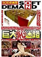 SDMS-190 - Super (Embarrassment) Maze