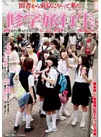 SDMS-868 - School Trip Adventure