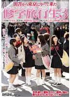 SDMT-060 - School Trip Adventure 3