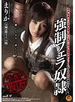 SDMT-501 - F***ed Blowjob S***e / Marica