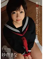 STAR-358 JAV Movie