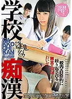TYD-002 - School Slut Rika Aimi