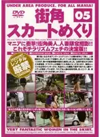 DKAS-05 - Street Corner Skirt Lifting 05