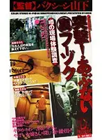 CY-010 - Charge! Dangerous (Underground) Brothels